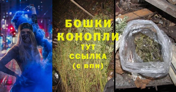 гидра Пестово
