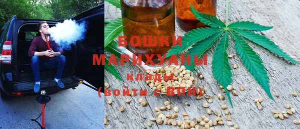 мдпв Пересвет