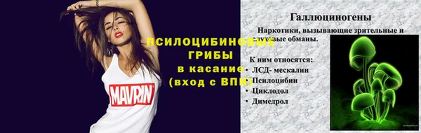 гидра Пестово