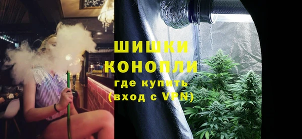 гидра Пестово