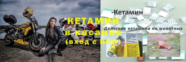 гидра Пестово