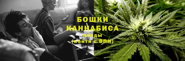 гидра Пестово