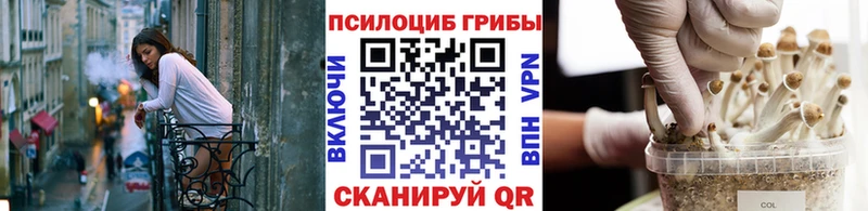 Купить  Лангепас  Галлюциногенные грибы Cubensis 